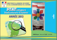  LES STATISTIQUES 2013 - INDICATEURS GUYANE de la cohésion sociale