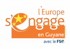 Le Fonds Social Européen Guyane Etat en image